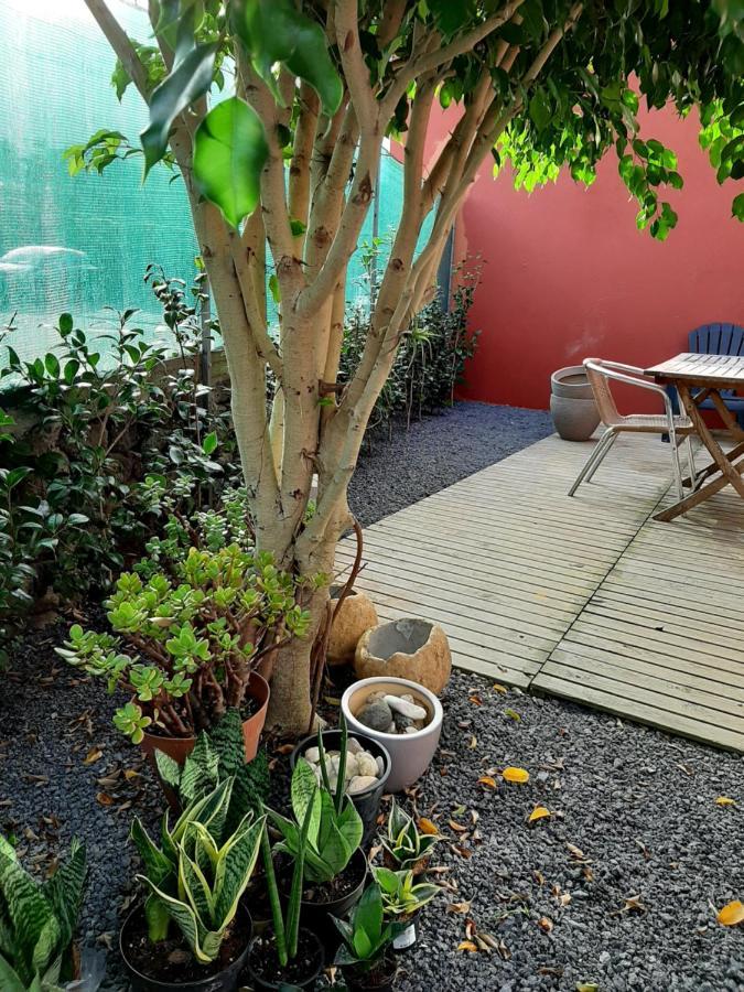 Casa Das Yucas - Patio Apartment Capelas Exterior photo