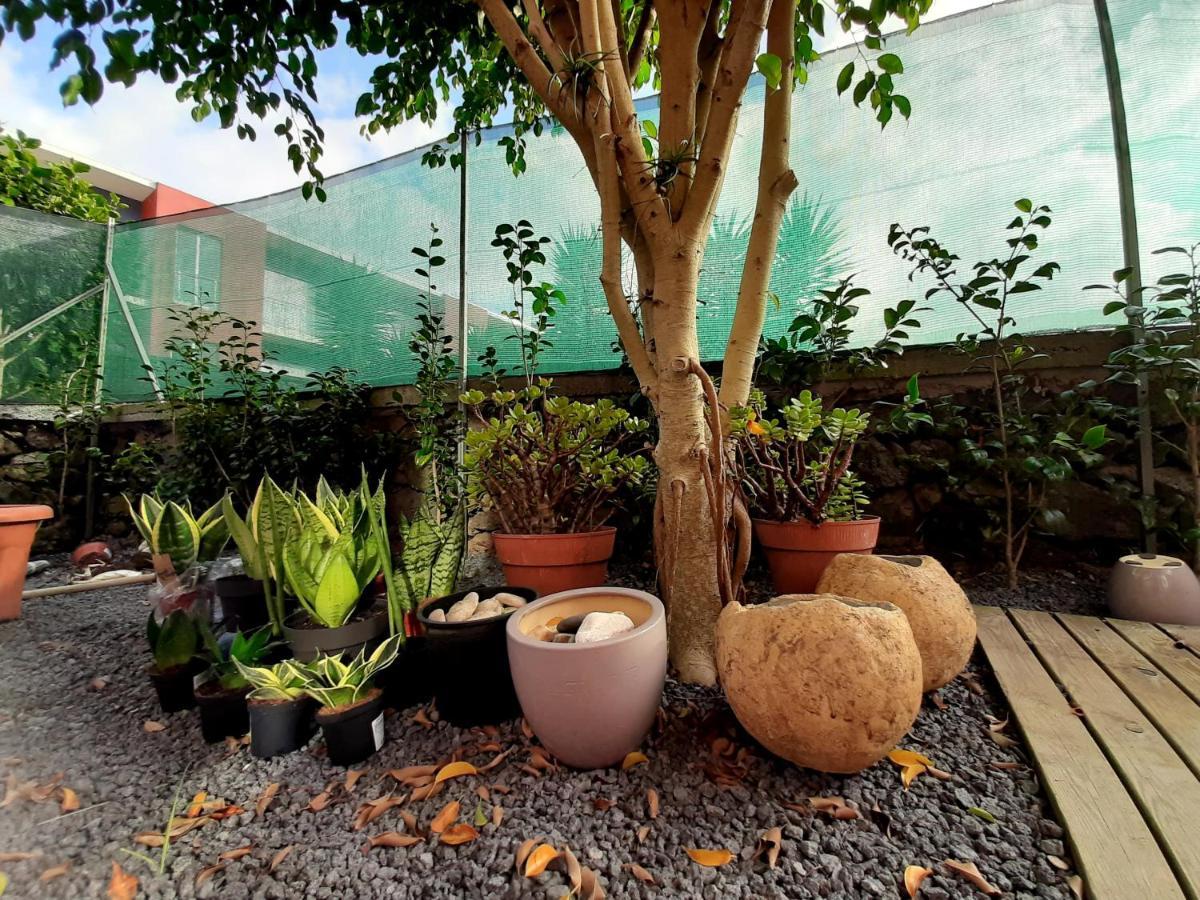 Casa Das Yucas - Patio Apartment Capelas Exterior photo