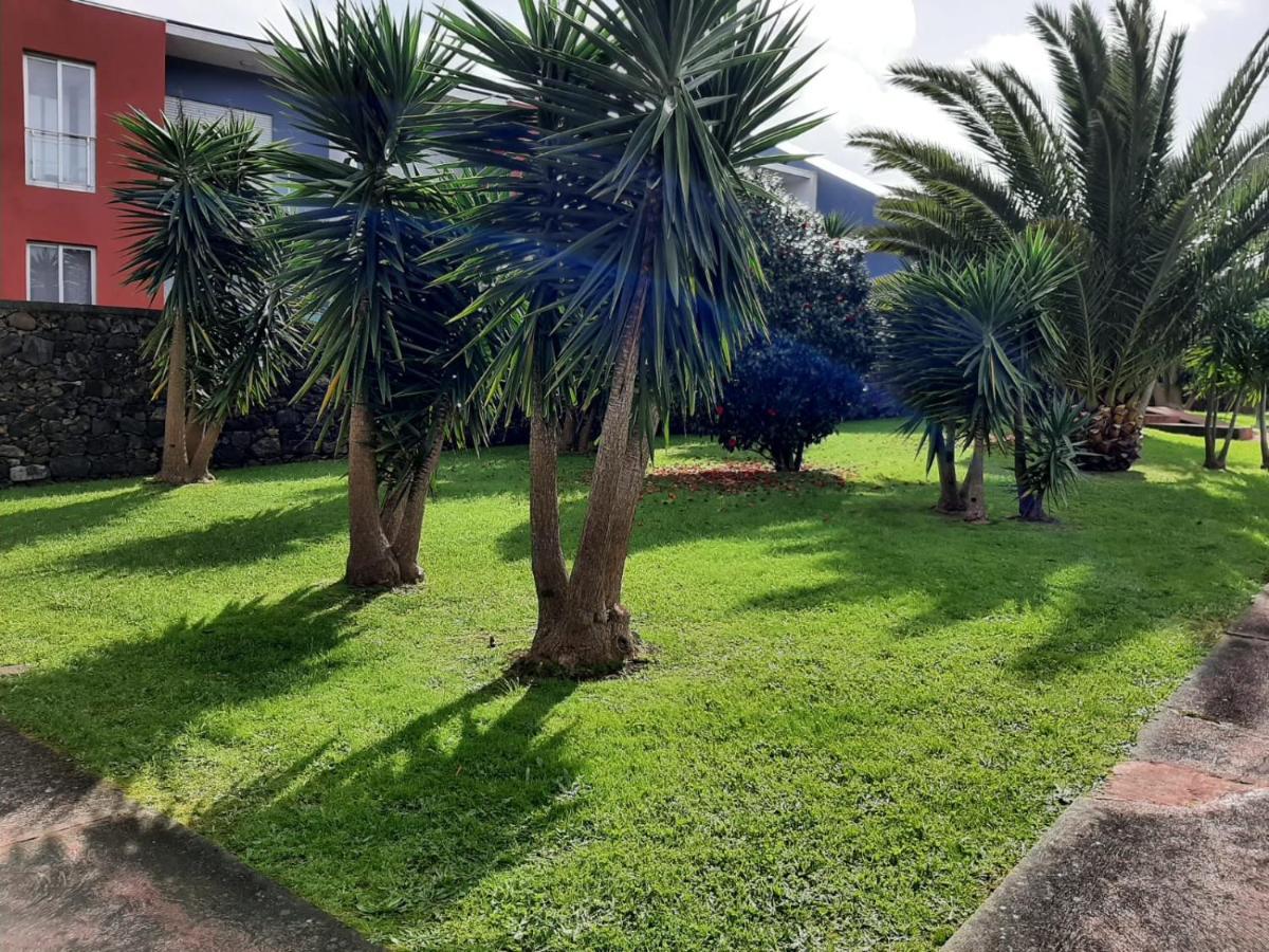 Casa Das Yucas - Patio Apartment Capelas Exterior photo